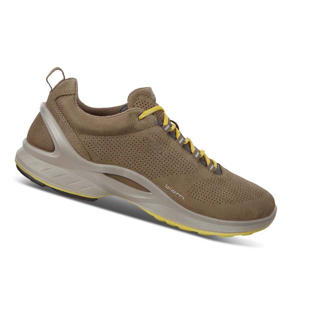 Ecco Mens Biom Fjuel Perf Hiking & Trail Herr Bruna | SE 568JPQ